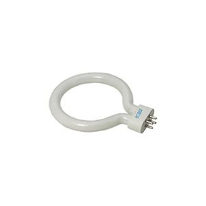 Bulb